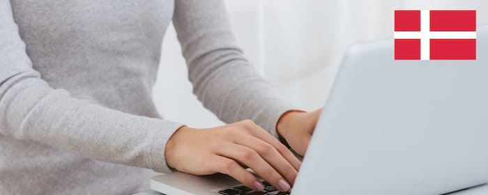 Netbaseret undervisning